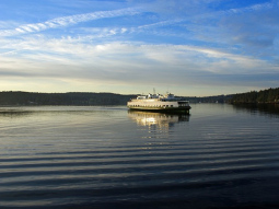SE-T-6040 scenics 11