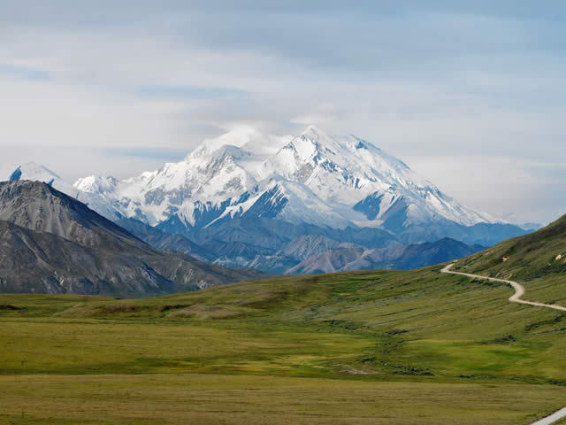 North America's Highest Peak: Denali Scenic Flight Experience (Choose between 1 hour without glacier landing / 1.5 hours with glacier landing)