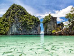 PK-T-12391 scenics 1