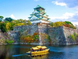 OSA1-12412 scenics 1