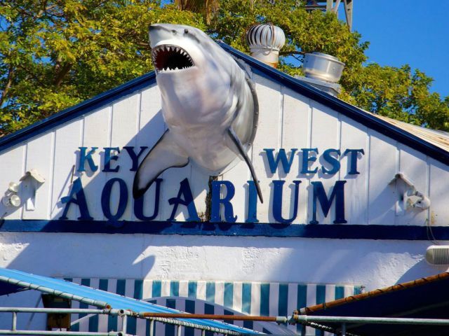 Key West Aquarium Tickets