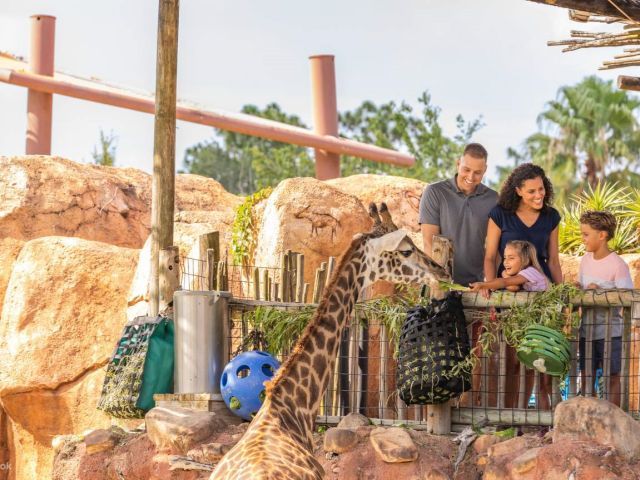Bilet do Zoo Tampa w Lowry Park