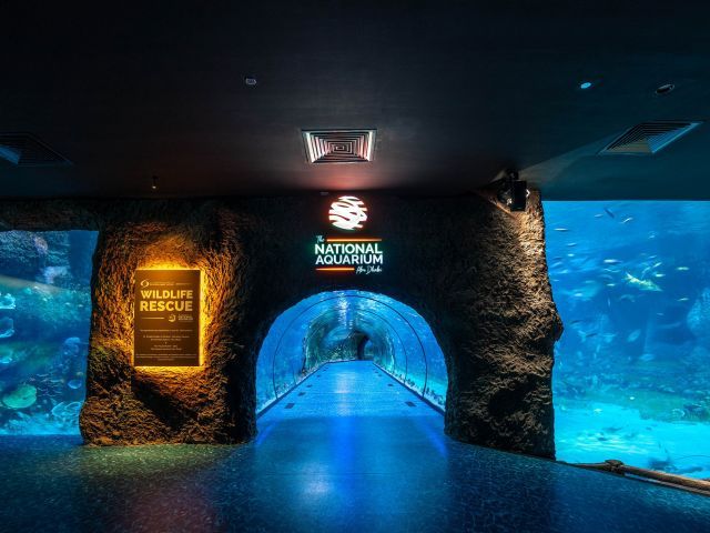 The National Aquarium Abu Dhabi-Entrance Tickets