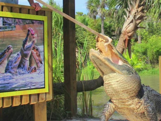 OR-T-12159 galeria 2