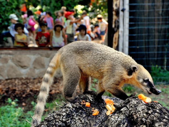 Bioparco di Roma Tickets