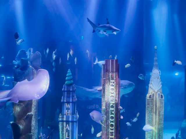 SEA LIFE Aquarium - New Jersey Ticket