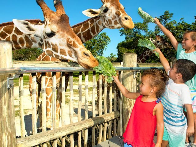 Zoo Miami - General Admission