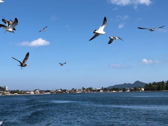 Osaka/Kyoto: Aussichtspunkt Amanohashidate + Ine Funaya 1-Tagestour