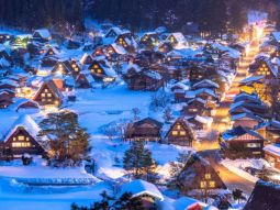 NGO1-12414 scenics 2