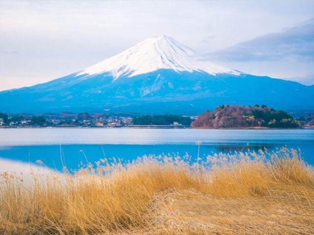 Tokyo: Mt. Fuji Hot Spring / Gotemba Outlet, Owakudani, Lake Ashi,Hakone Shrine 1 Day Tour (Small Groups Available)