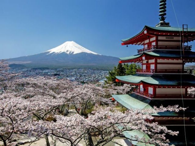 Tokyo: Mount Fuji Area Arakurayama Sengen Park, Oshino Hakkai, Kawaguchi Lake 1 Day Tour (Small Groups Available)