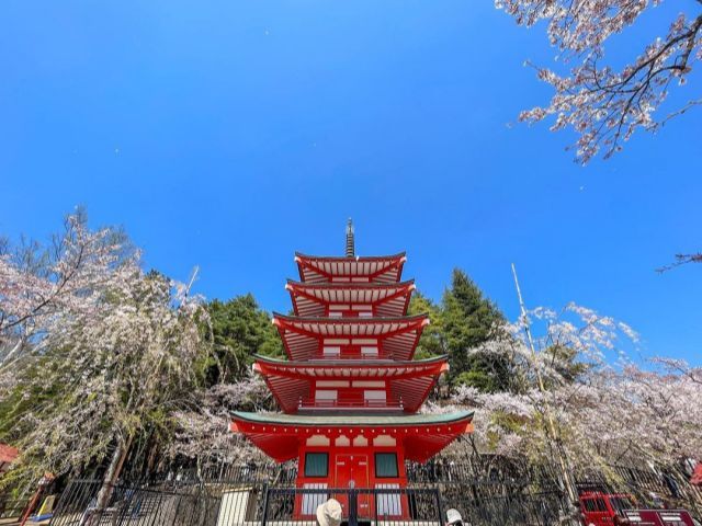 Tagesausflug zum Arakurayama Sengen Park, Oshino Hakkai und Kawaguchi-See