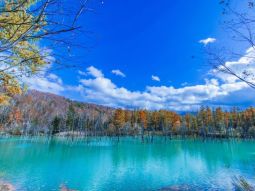 SPK-T-12425 scenics 2