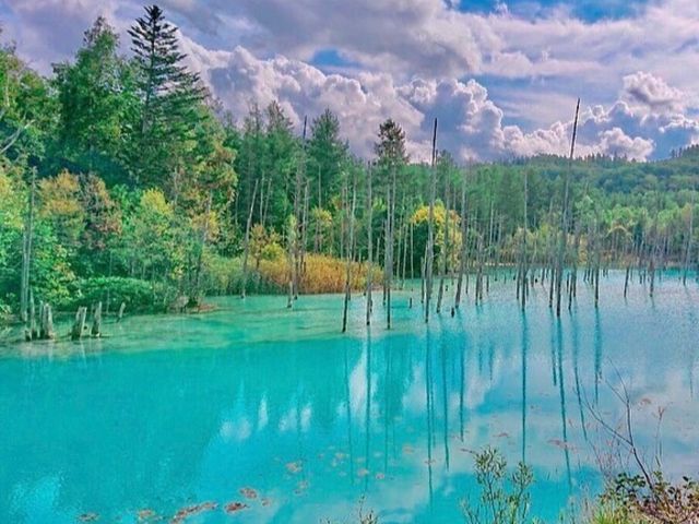 Hokkaido-Tagesausflug von Sapporo Biei, Aoike, Furano Blumenmeer (Buffet + Cantaloupe)