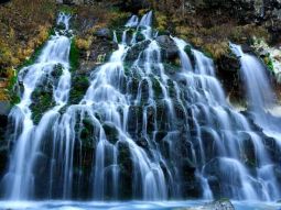 SPK-T-12425 scenics 3