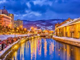 SPK-T-12424 scenics 4