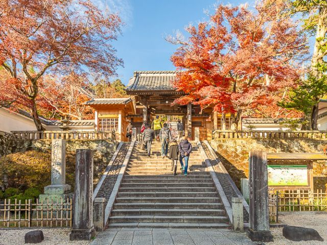 Tóquio: Passeio de um dia ao Templo Izu Shiyohana Shuji (Itinerário sazonal para junho)