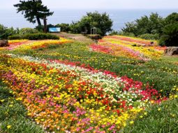 TYO-T-12427 scenics 2