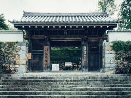 OSA1-T-12428 scenics 1