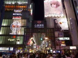 OSA1-T-12428 scenics 3