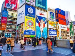 OSA1-T-12428 scenics 4