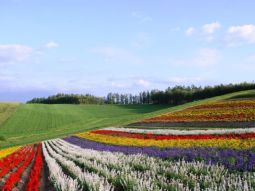 SPK1-12423 scenics 4