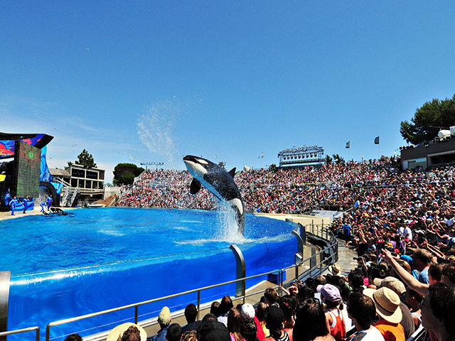 SeaWorld San Diego Ticket, Entry available from Monday through Friday