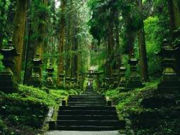 FUK1-12535 scenics 1