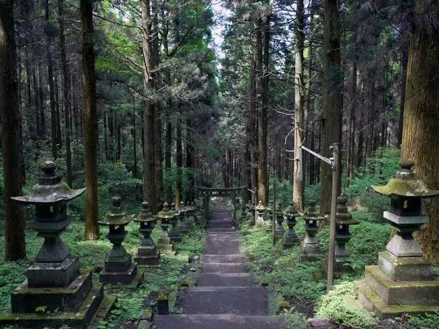 Kumanozu-schrijn Takachiho-kloof en Amano Iwato-tour vanuit Fukuoka