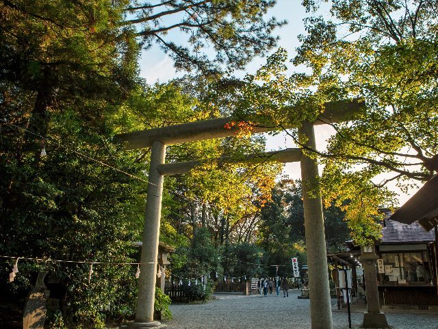 Kumanozu-Schrein Takachiho-Schlucht und Amano Iwato-Tour ab Fukuoka
