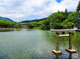 FUK1-12545 scenics 4