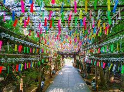 FUK1-12545 scenics 2