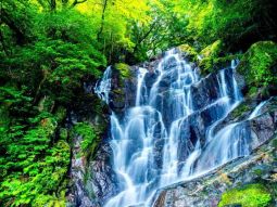 FUK1-12544 scenics 1