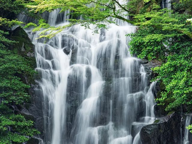 [Bus Tour] Fukuoka：Shiraito waterfall&Raizansennyoji Taihioin& Sakurai Futamigaura's Couple Stones &Fukuoka Tower 1 day tour（Chinese/Japanese Language)