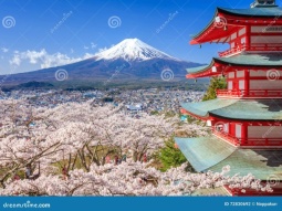 TYO1-12516 scenics 6