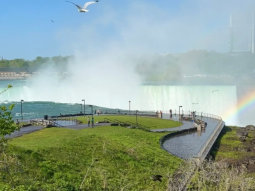 NY1-12798 scenics 4