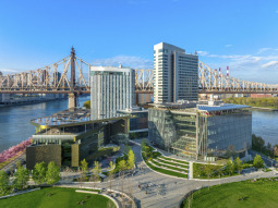 NY1-4179 scenics 5