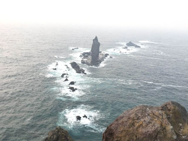 「Super compact one-day tour itinerary, allowing you to fully experience the charm of Hokkaido in just one day」One-Day Tour from Sapporo: Shakotan Kamui Cape, Otaru & Shiroi Koibito Park