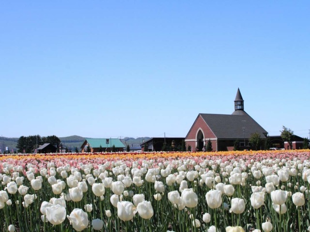 SA1-13790 gallery 2