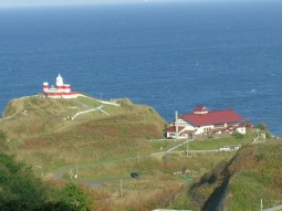 SA1-13831 scenics 7