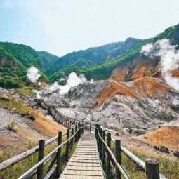 SA1-13803 scenics 8