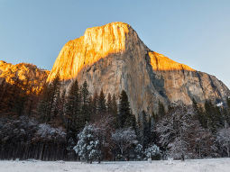 SF1-10887 scenics 3