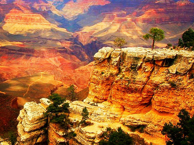 Grand Canyon South Rim 1-Day Tour