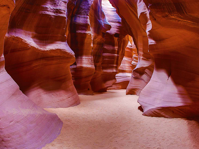 Upper or Lower Antelope Canyon + Horseshoe Bend + Lake Powell 1 Day Tour (Ticket Included)