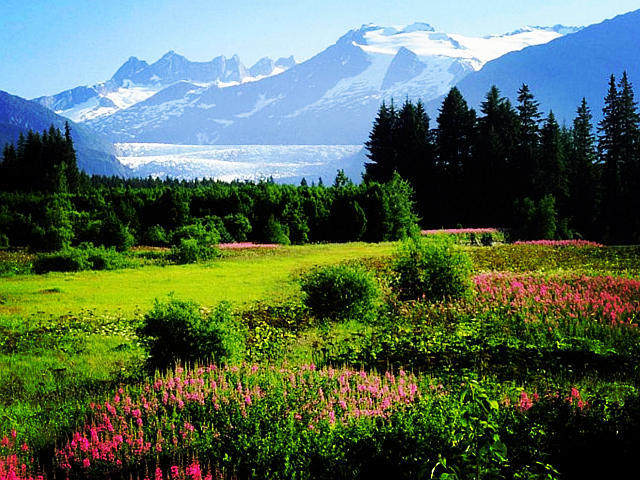 Anchorage 