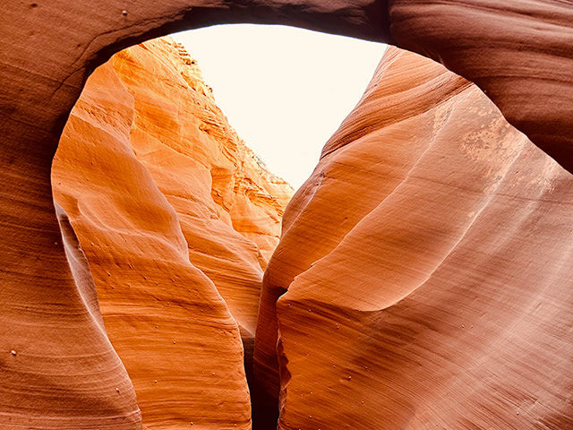 Rattlesnake & Owl Slot Canyon Deep Hiking Tour with Navajo Guide(2 Hours)