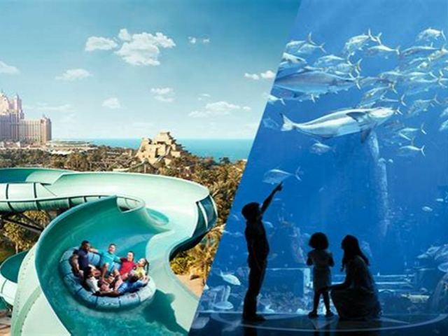 Atlantis Aquarium 
