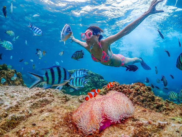 Nemo Island Snorkeling Experience Yacht Tour from Pattaya