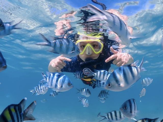 Bangkok or Pattaya Departure: 1-Day Snorkeling Tour to Koh Samut Prakarn + Koh Nemo (English/Chinese Guide)