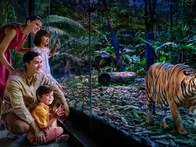 Singapore Night Safari Night Tour